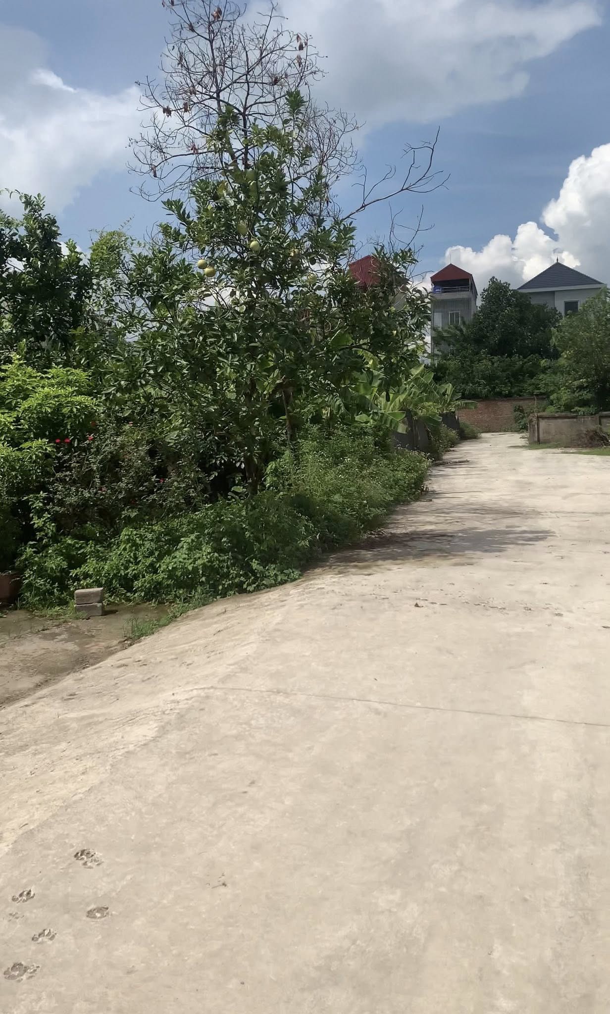 Bán gấp lô góc trung tâm Thị Trấn Tế Tiêu, Mỹ Đức, Hà Nội