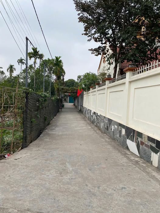 Khám phá mảnh đất đầy tiềm năng tại Đồng Tháp, Đan Phượng, Hà Nội