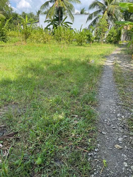 Bán đất nền 293m2 mặt tiền 10m tại Hưng Nhượng, Giồng Trôm, Bến Tre