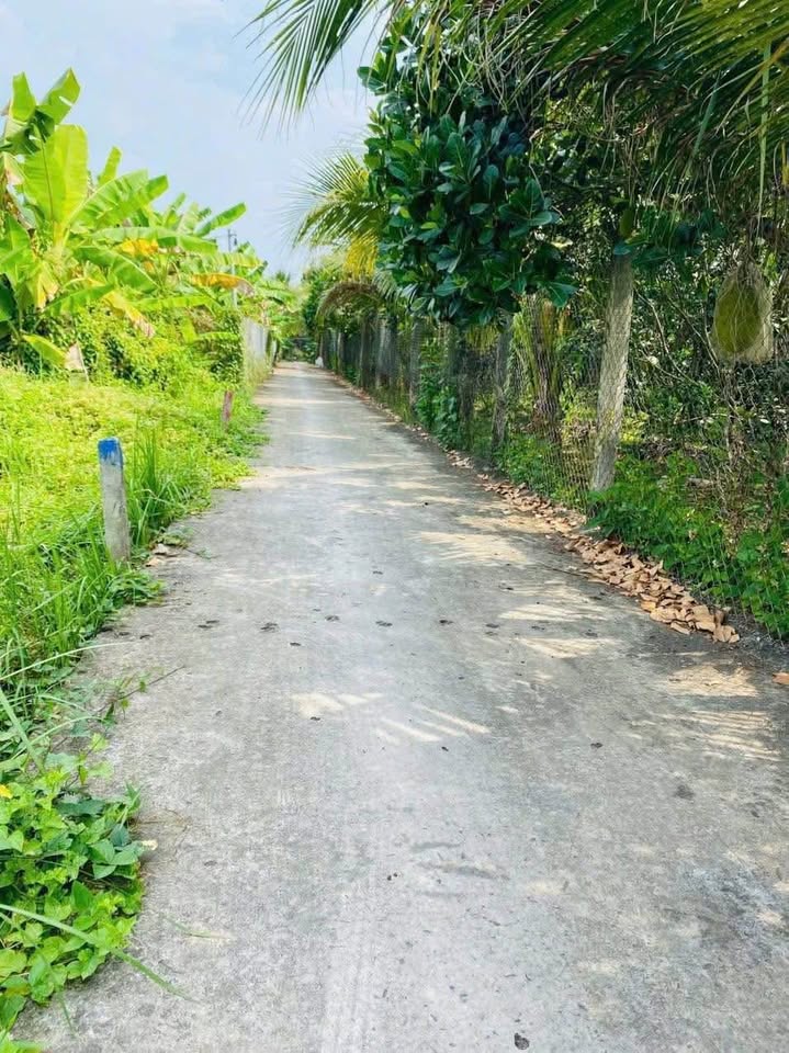 Nền 107m2 gần KCN Giao Long, Bến Tre - Chốt 340 triệu