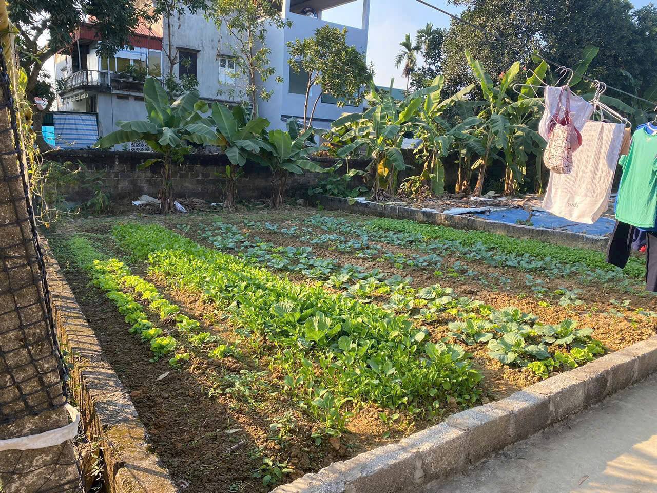 Đất vàng Xuân Mai 100m² thổ cư, sổ hồng trao tay, gần chợ, trường học