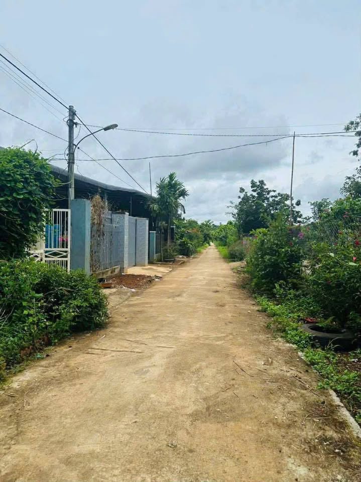 Đất vàng Dray Sáp 5.2x28m, 60m² thổ cư, chỉ 279 triệu - Sổ hồng sẵn sàng