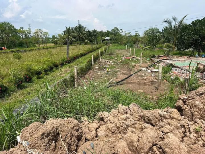 Đất mặt tiền tỉnh lộ 864 siêu hot đây