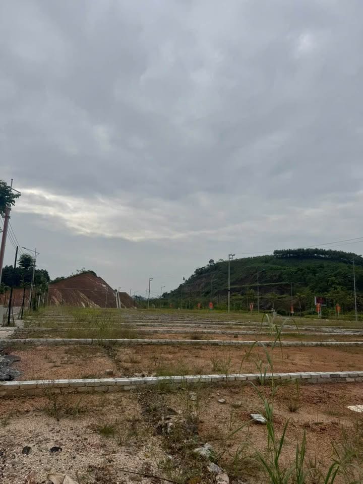 Đất Tái định cư 3C Âu Cơ - Vị trí vàng, tiềm năng sinh lời cao