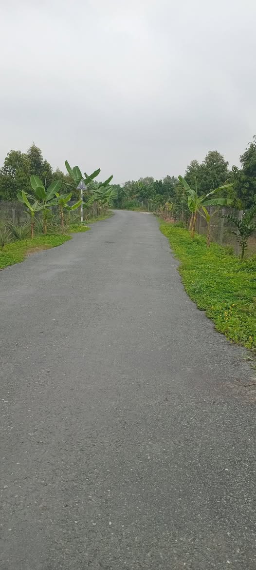 Bán gấp nền 234m2 mặt tiền đường nhựa, Hậu Vinh, Cái Bè - Giá 900 triệu bao sổ