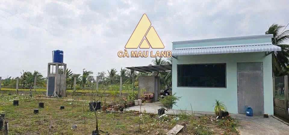 Đất Cà Mau 3200m2 mặt tiền kênh, nở hậu tài lộc, làm trang trại hay nhà vườn đều okela