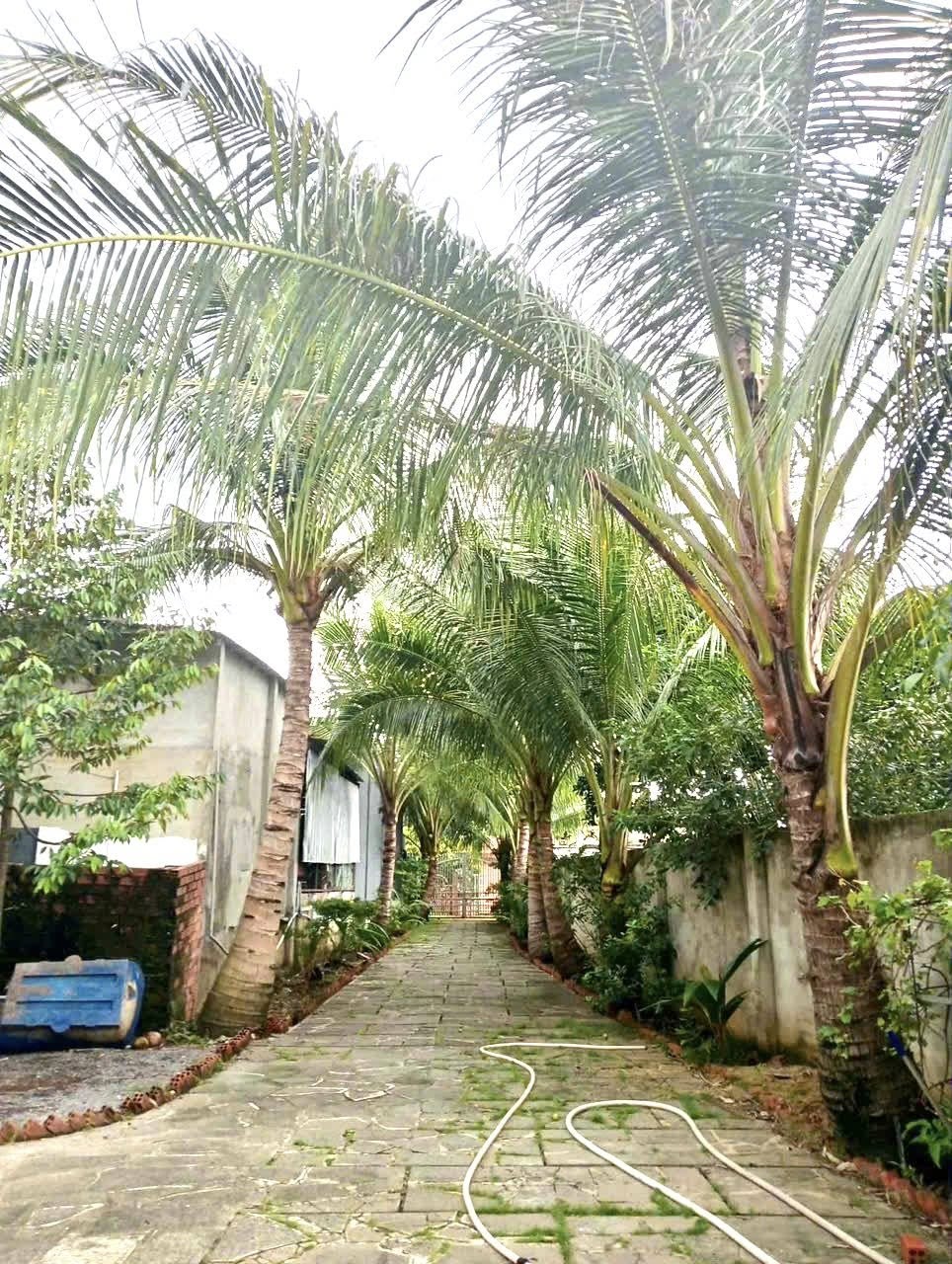 Chào mừng quý khách đến với thiên đường hạ giới tại xã Hưng Thịnh, Trảng Bom, Đồng Nai