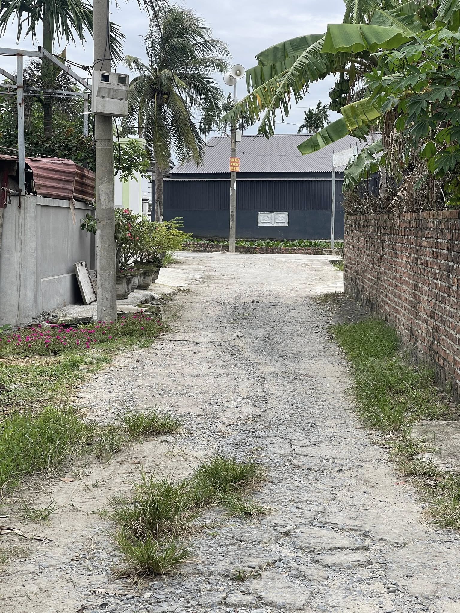 Siêu phẩm đất nền hoa hậu đang chờ chủ nhân xứng tầm tại Lâm Cao, Tự Cường, huyện An Lão