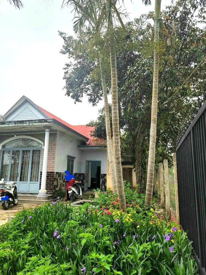 Nhà sân vườn sông nước, vượng khí Phú Hội