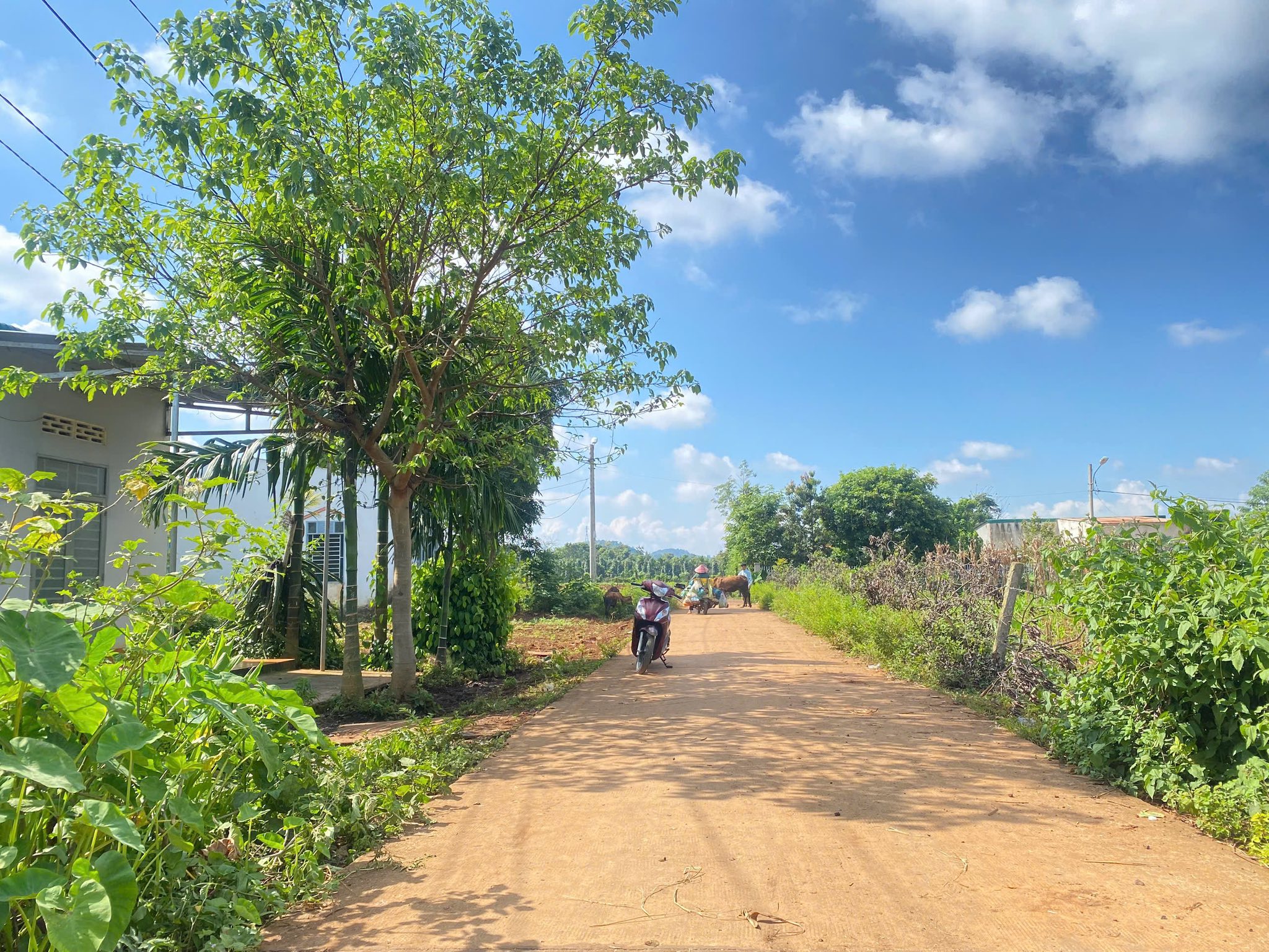 Đất vàng Buôn Ma Thuột - Lô góc siêu đẹp, giá rẻ bất ngờ