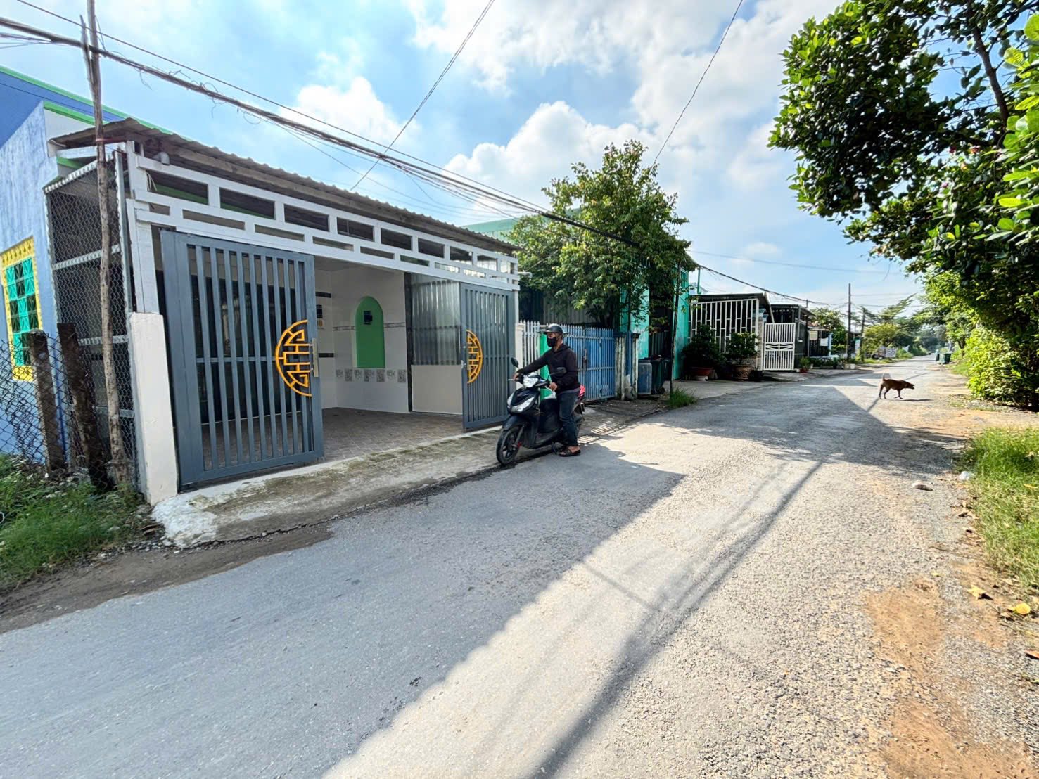 Chính chủ cần bán căn nhà cấp 4 mặt tiền nhựa siêu tiềm năng tại Mỹ Bình