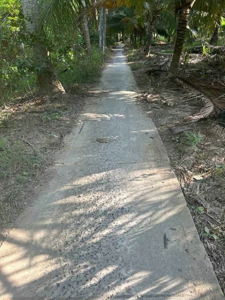 Đất Giồng Trôm giá rẻ bất ngờ, đầu tư sinh lời ngay