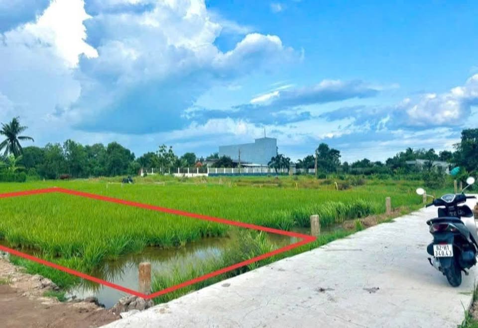 Đất thổ cư sổ đỏ trao tay, giá chỉ 379 triệu - Cơ hội an cư lạc nghiệp tại Tân Trụ, Long An