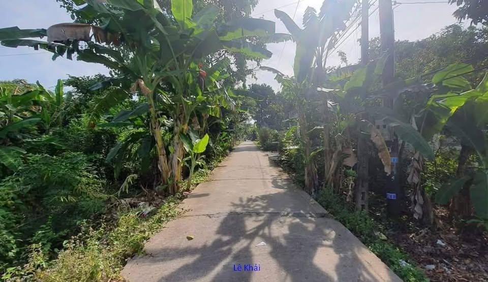 An cư lạc nghiệp tại Đồng Tháp - Nền đất vàng trao tay