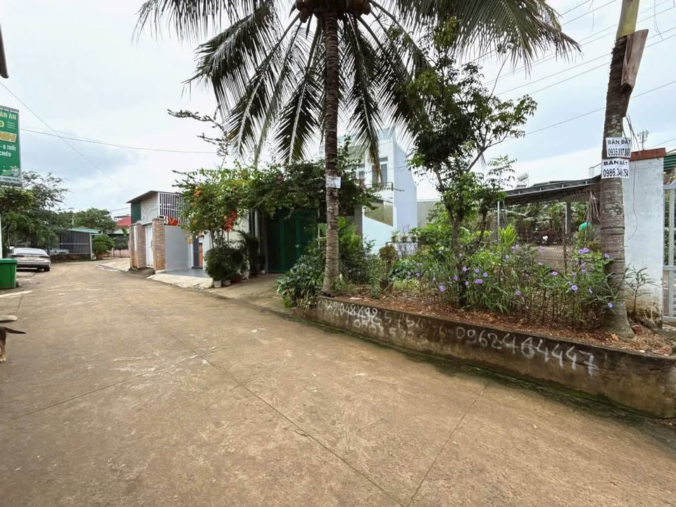 Bán đất thổ cư 145m2 hẻm 128 Nguyễn Xuân Nguyên, Phường Tân An, hướng Đông