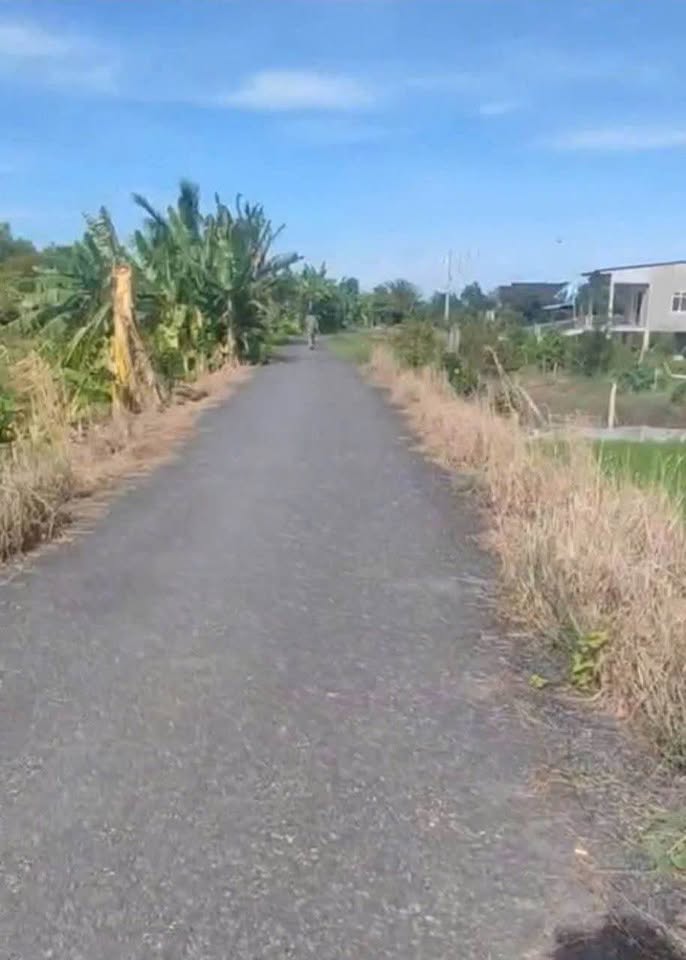 Bán 10 công đất vườn xoài tại xã Phương Thịnh, thành phố Cao Lãnh, tỉnh Đồng Tháp