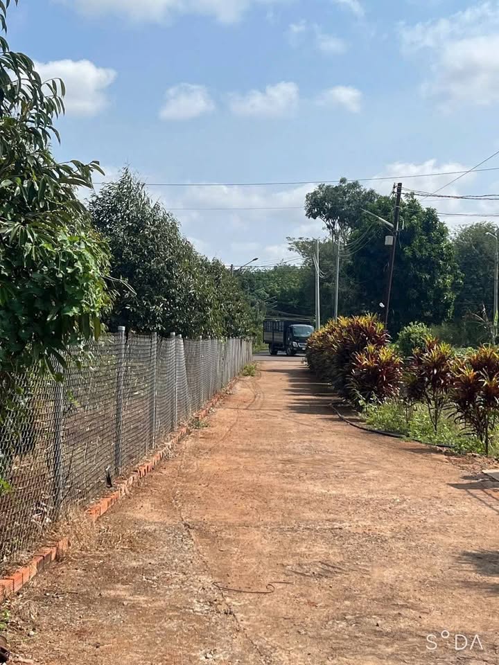 Nhà vườn cực phẩm tại Long Phước, Bà Rịa