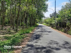 Đất vàng Bàu Bàng 2 hécta mặt tiền khủng, sát lộ giới DT741C cơ hội đầu tư không tưởng