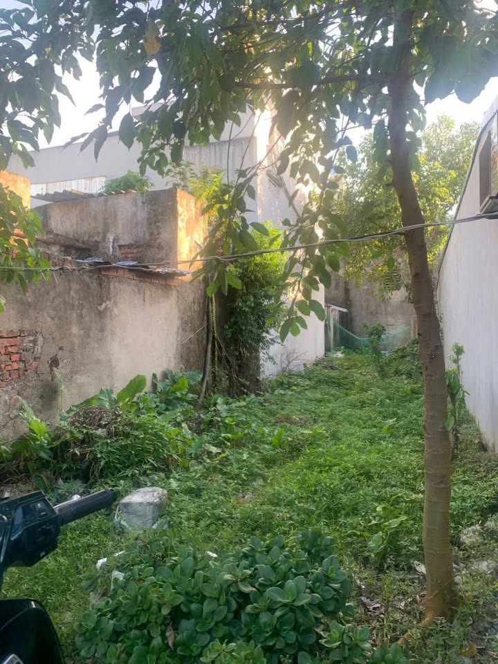 Siêu phẩm đất nền Đại Lai chỉ nhỉnh 1 tỷ, cơ hội vàng