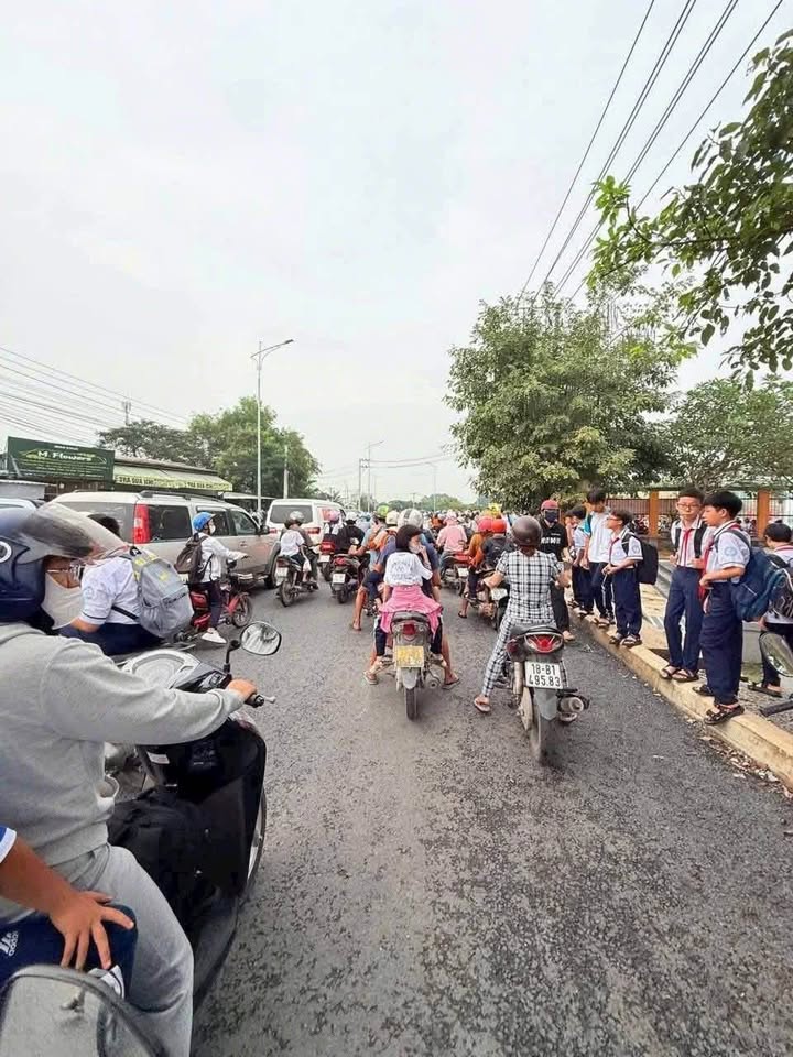 Đất vàng ngay cổng trường Tân Bình kinh doanh bất tận, giá hời