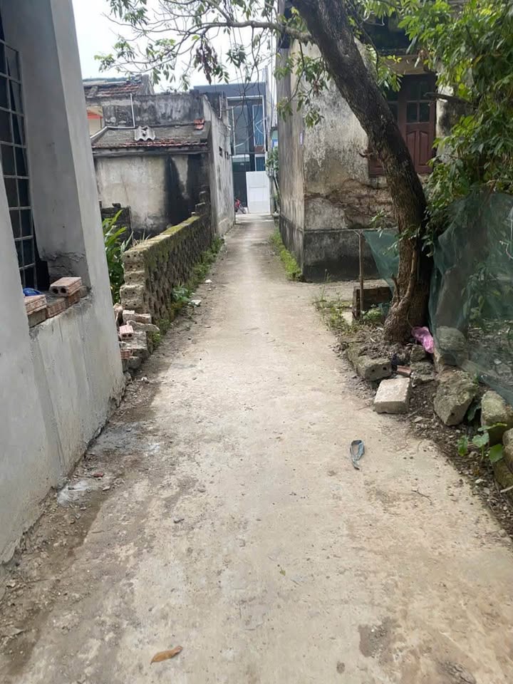 Nhà 3 tầng 52m2 tại Ninh Sơn, Kim Bảng - Cơ hội an cư lý tưởng