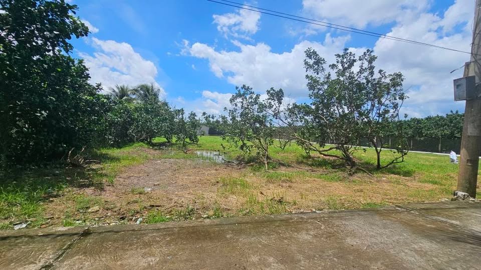 Nhà đẹp Mỹ Phong sổ riêng, nội thất cao cấp, đất nền giá tốt