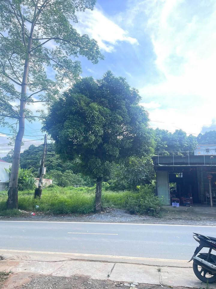 Bán đất 445m² mặt QL70, Km9 Bản Cầm - Sổ đỏ chính chủ, giá tốt