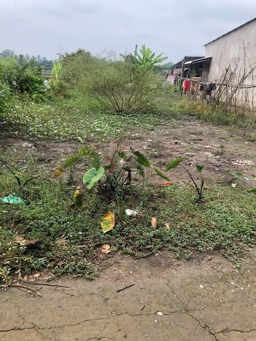 Đất Vị Thanh xinh xắn, 79m2 thổ cư, giá thương lượng