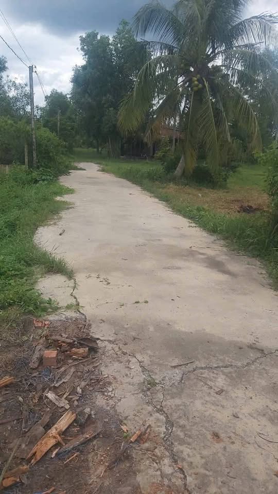 Cơ hội vàng sở hữu ngay lô đất vườn tuyệt đẹp tại ấp 2, Bàu Đồn, Trảng Bàng, Tây Ninh