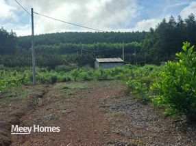 Bán 1000m2 đất sổ riêng tại Vĩnh Cửu, Đồng Nai - Giá 550 triệu