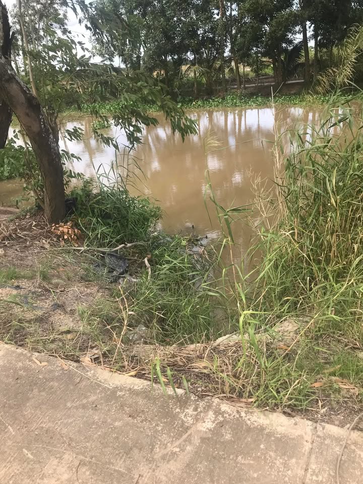 Đất vàng Sóc Trăng, 32 công ruộng mặt tiền lộ đan, cơ hội đầu tư sinh lời