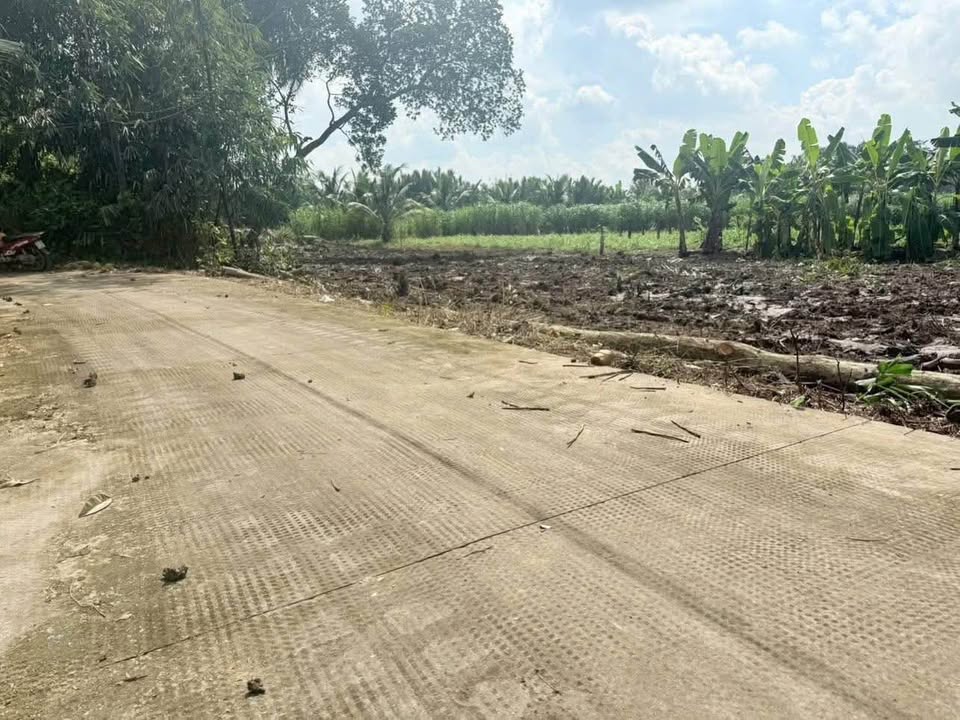 Đất vườn 2000m² bên chợ Kì Son, Long An - Cơ hội đầu tư sinh lời