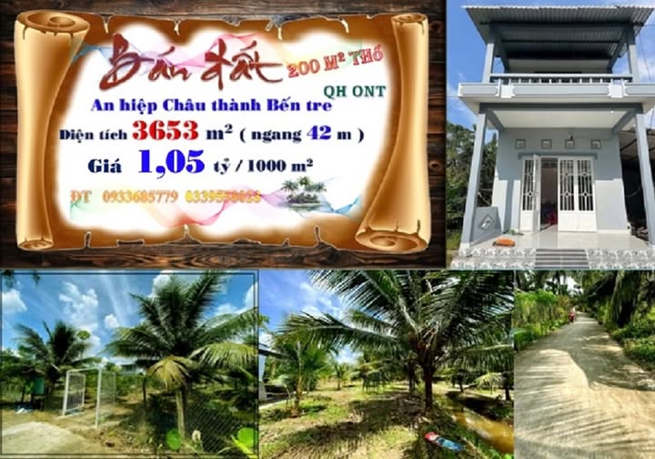 Bán đất 3653m² An Hiệp, Châu Thành, Bến Tre - View sông, có nhà kiên cố
