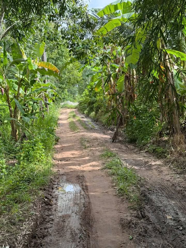 Đất vàng Phước Vinh - Cơ hội thu hồi vốn hấp dẫn