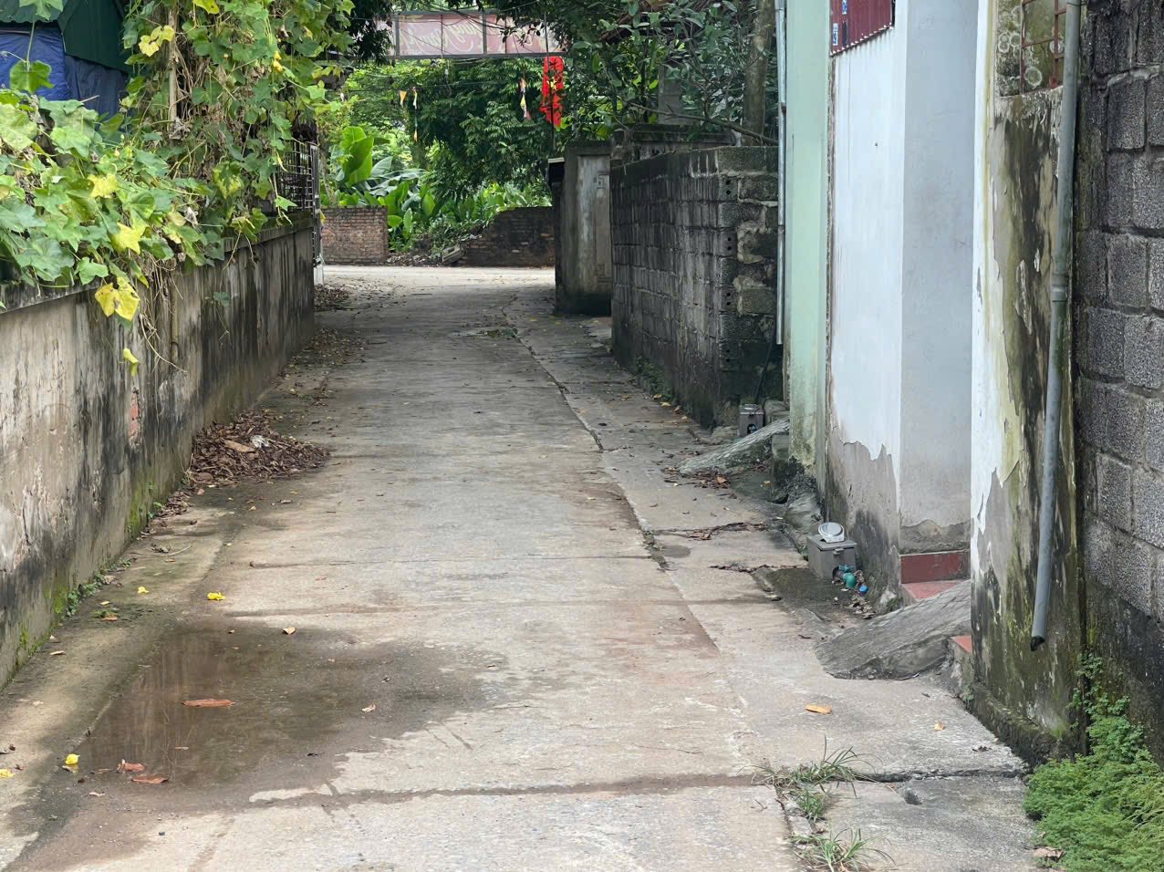 Nhà cấp 4 50m² Bình Minh, Thanh Oai - Sẵn sàng để ở chỉ hơn 2 tỷ