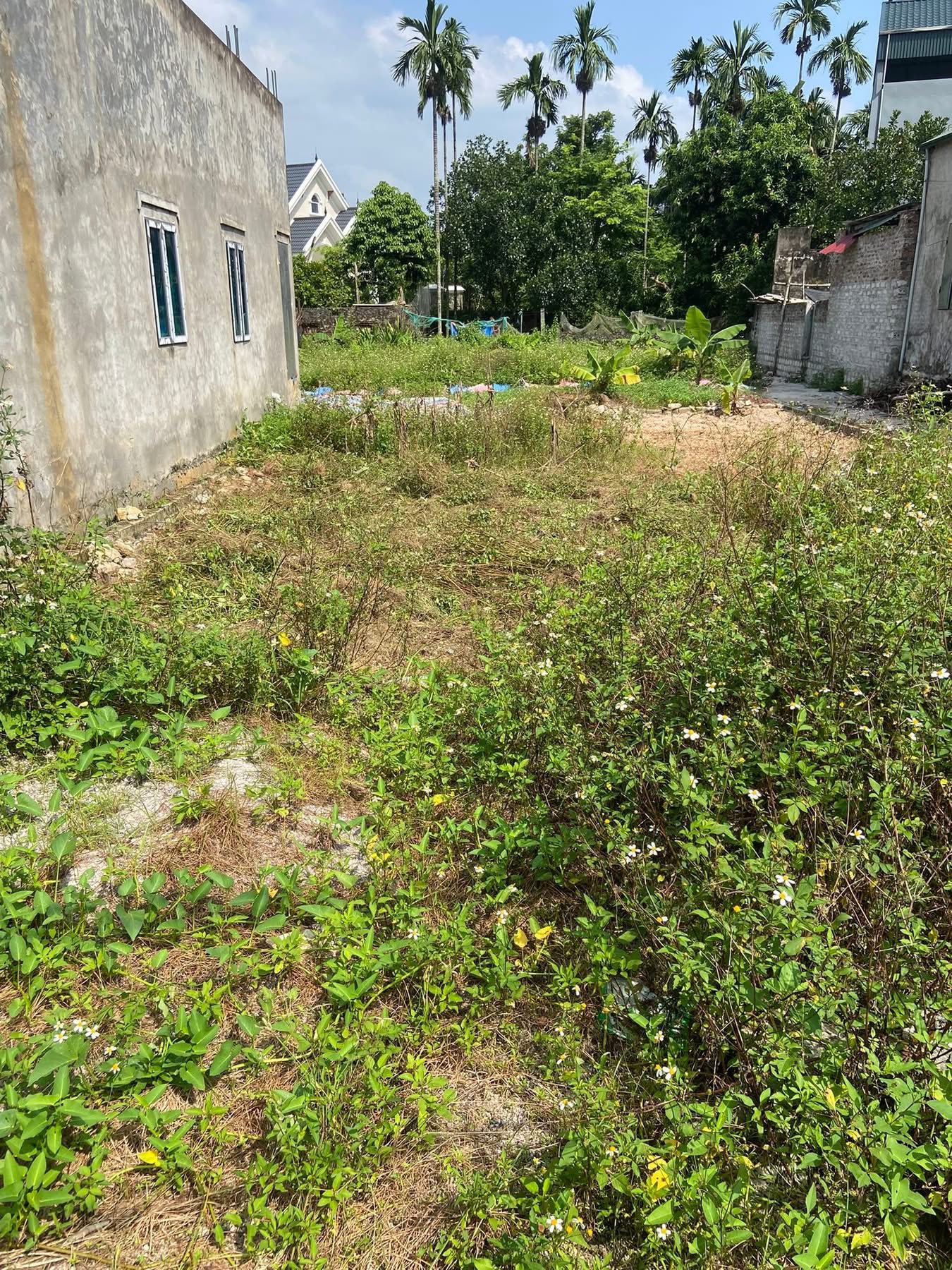 Siêu phẩm 79m² ngõ thông, kinh doanh nhỏ cực đỉnh tại Mỹ Đức, Hà Nội