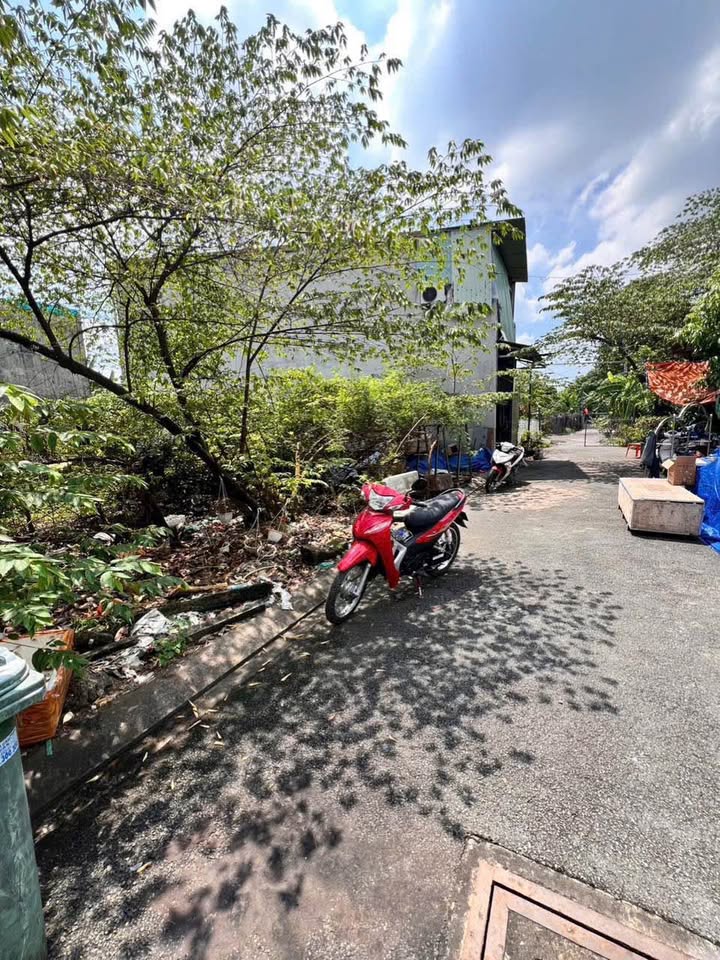 Bán đất sổ hồng riêng tại Vĩnh Lộc, Thanh Hóa