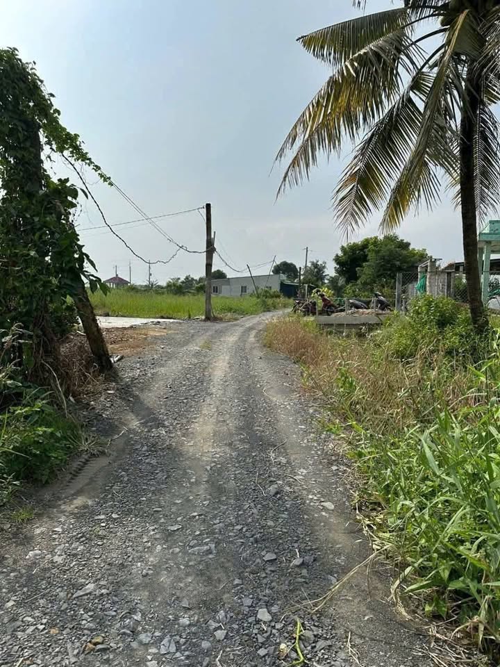 Đất Lúa 1.200m2 - Châu Thành, Long An - Thoát ly thành phố, về với thiên nhiên