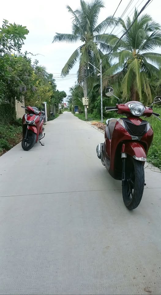 Siêu phẩm đất nền phường Phú Tân, Bến Tre đã lộ diện