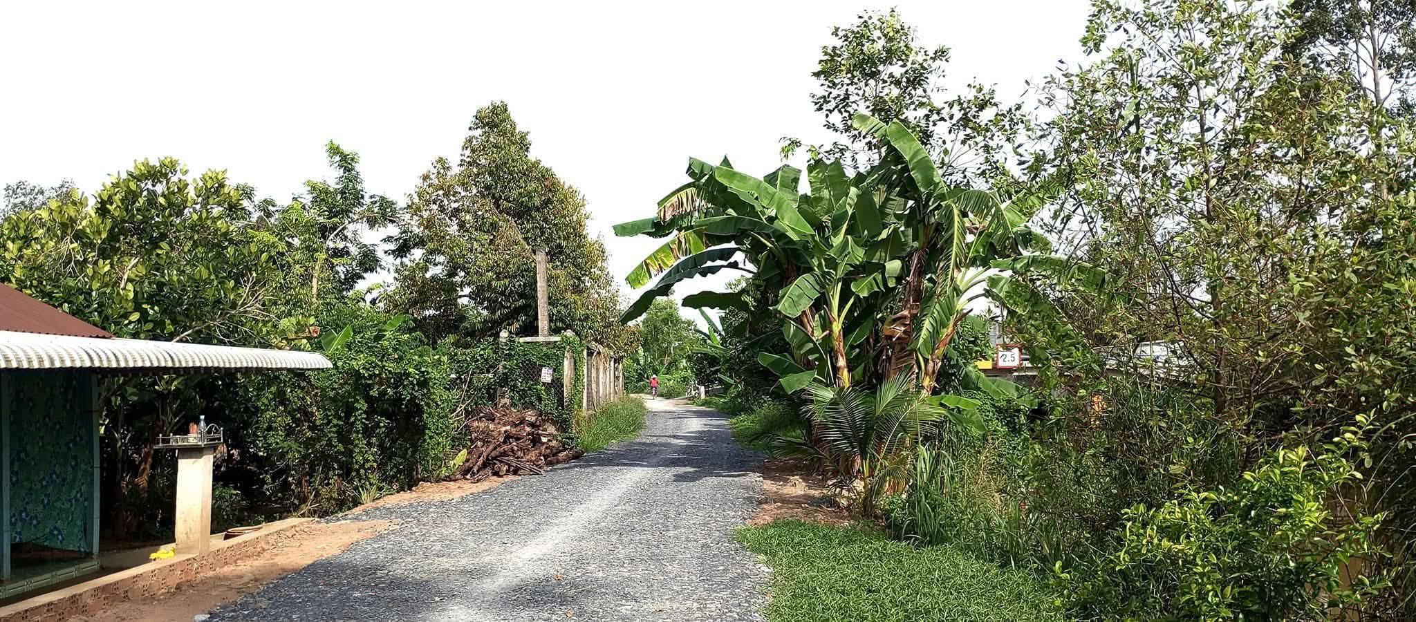 Cần bán nền đất có diện tích 5m x 38m, với 150m2 đất thổ cư