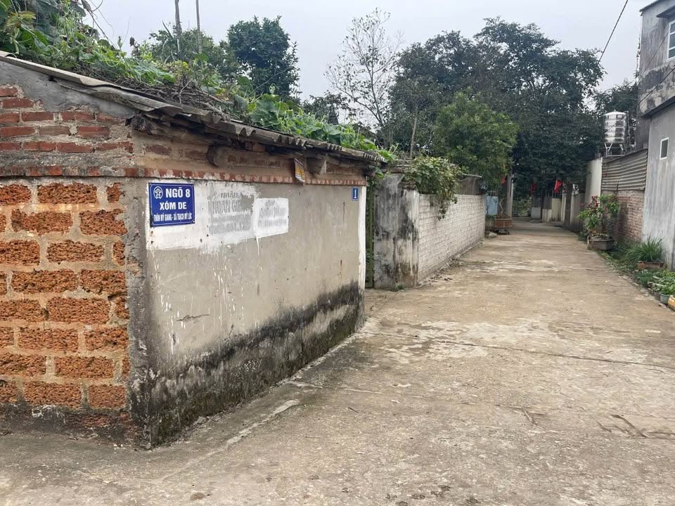 Đất vuông vắn, sổ sẵn, giá cắt lỗ 1 tỷ - Đan Phượng, Hà Nội