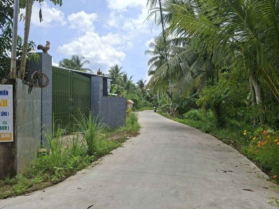 Chào mừng quý vị đến với cơ hội sở hữu một mảnh đất hời tại phường An Hội, Bến Tre