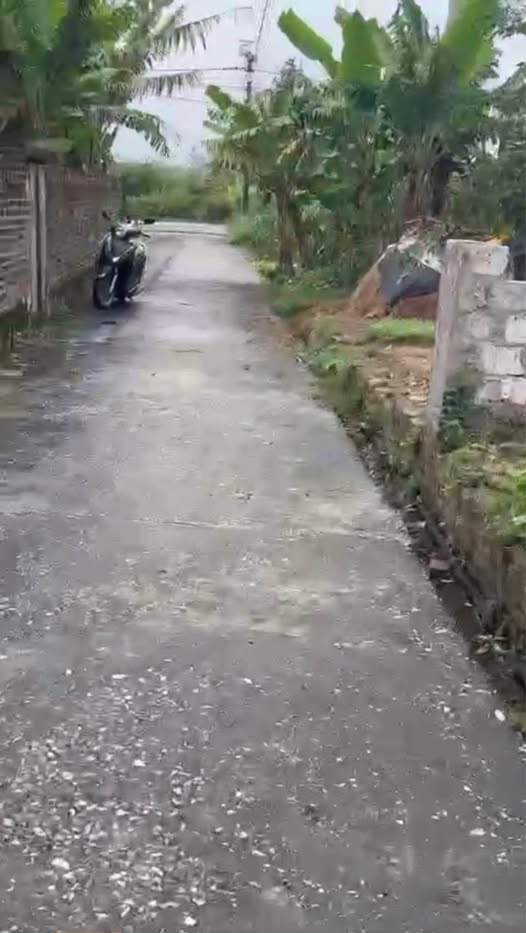 Đất siêu đẹp tại Dương Hồng Thủy, Thái Thụy, Thái Bình, diện tích 156m2