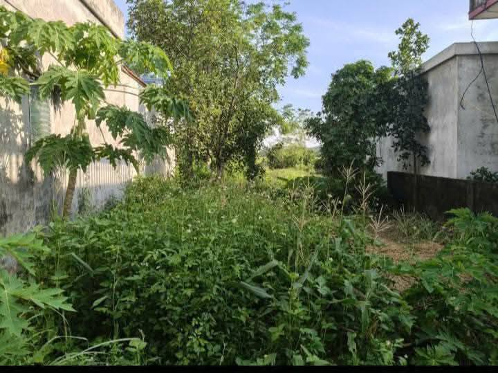 Bán đất 328m² mặt tiền 6.68m tại Bình Lục, Hà Nam