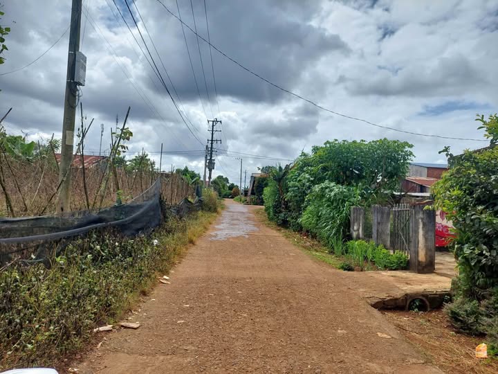 Cơ hội sở hữu ngay lô đất vuông vắn, nở hậu tại hẻm Nguyễn Bá Lại, phường An Phú, thành phố Pleiku, tỉnh Gia Lai