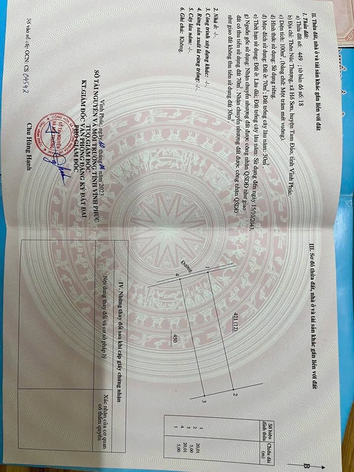 Đất vàng Tam Đảo 100m2, thổ cư 70m2, giá hời hơn 700 triệu