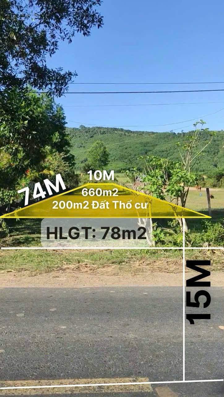 Sở hữu ngay lô đất mặt tiền Quốc lộ 29