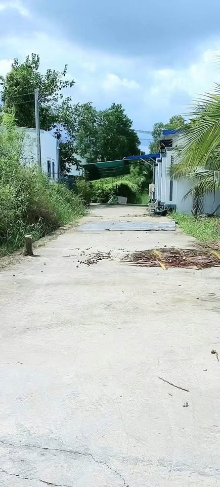 Đất biệt thự mini Bến Tre 187m2, ngang 5m, sẵn sàng lên thổ cư, giá hời 850 triệu