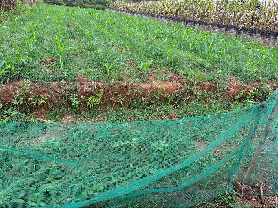 Đất vàng hai mặt tiền, hướng Tây Bắc, gần KCN Nam Văn Phú