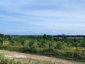 Đất nền 1000m2 Hàm Kiệm, Bình Thuận cơ hội đầu tư sinh lời